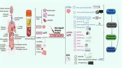 Research progress of CTC, ctDNA, and EVs in cancer liquid biopsy